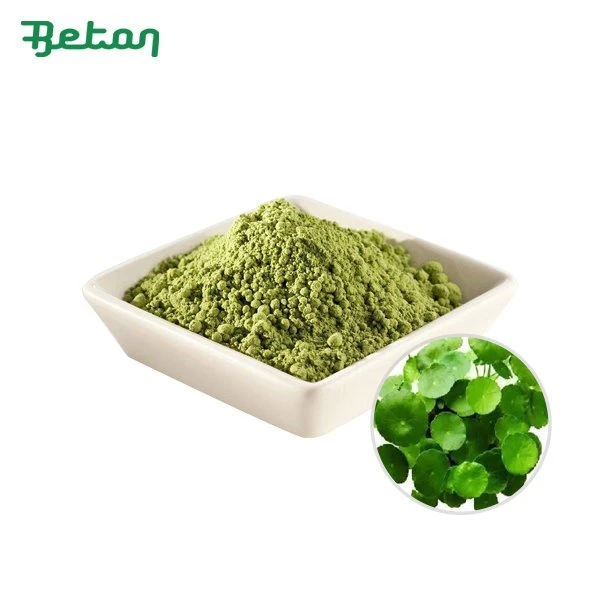 Organic Gotu Kola Powder