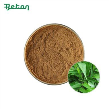 Organski ekstrakt bambusa u prahu